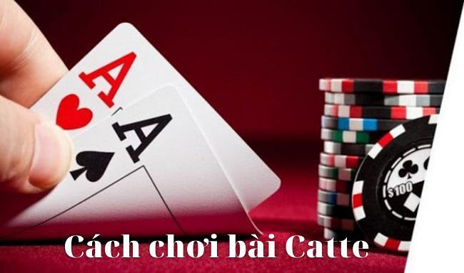 Hướng dẫn cách chơi bài catte chuẩn xác từ các cao thủ