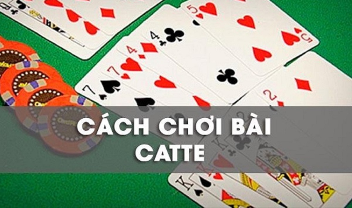 Hướng dẫn chơi Catte at Sun win cho người chơi mới
