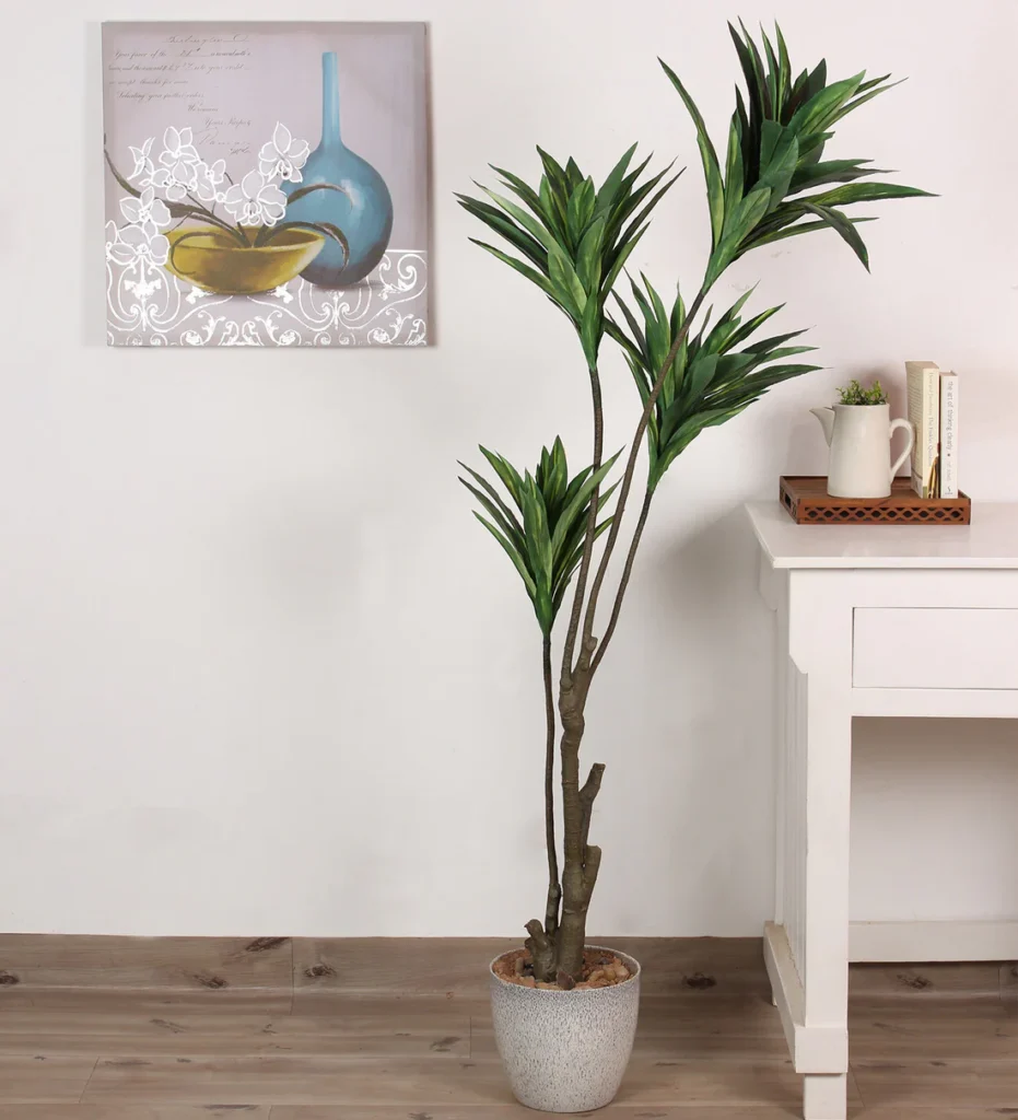 7 loại cây phong thủy đẹp phổ biến nhất
