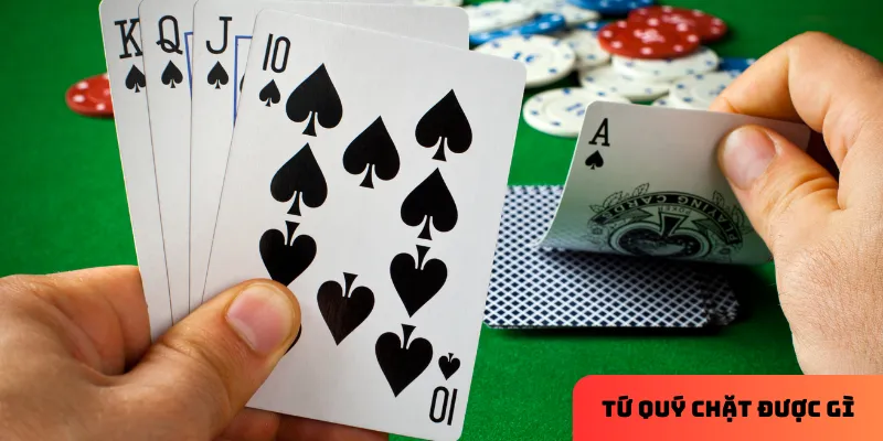 Giải thích cơ bản về sức mạnh của Tứ quý