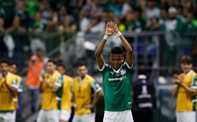 Đội bóng Palmeiras-Brazil - Tổng Quan Đội Bóng - đội Nam